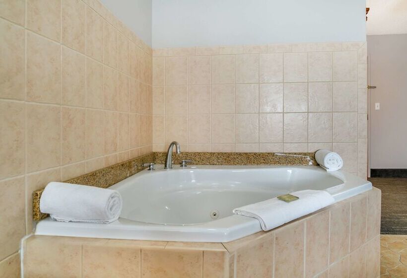 호텔 Country Inn & Suites By Radisson, Toledo South, Oh