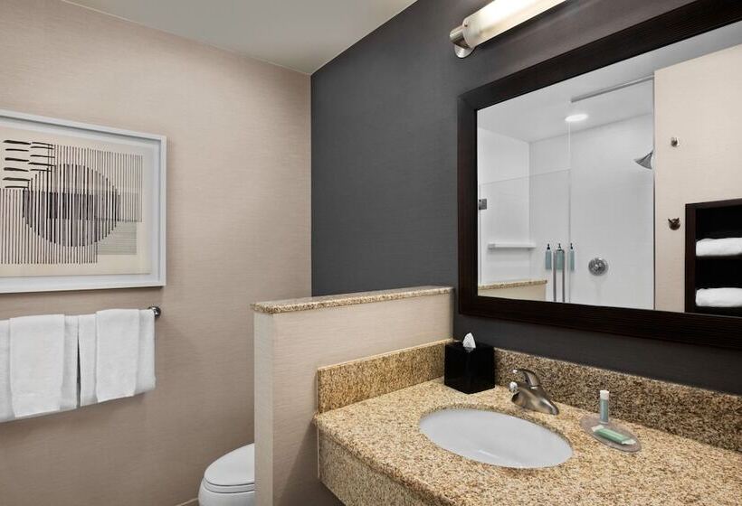 Hotell Courtyard Kansas City At Briarcliff