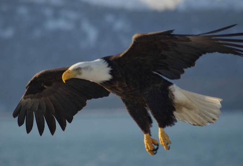 فندق Eagle Bay Inn