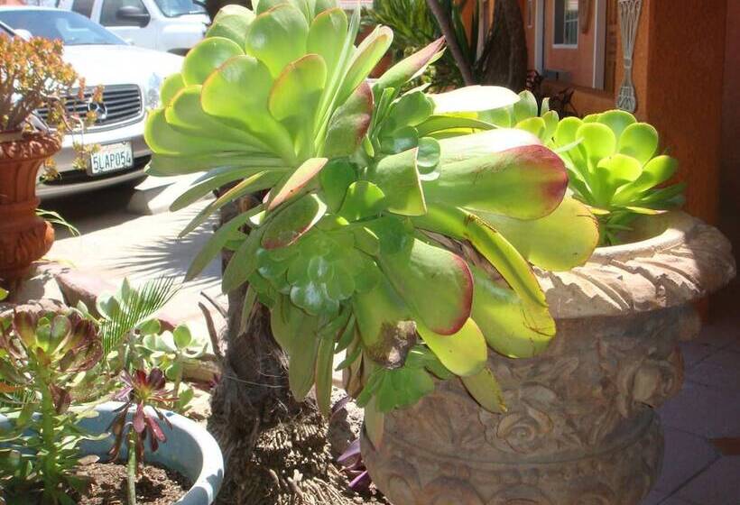 فندق Economy Inn Los Banos