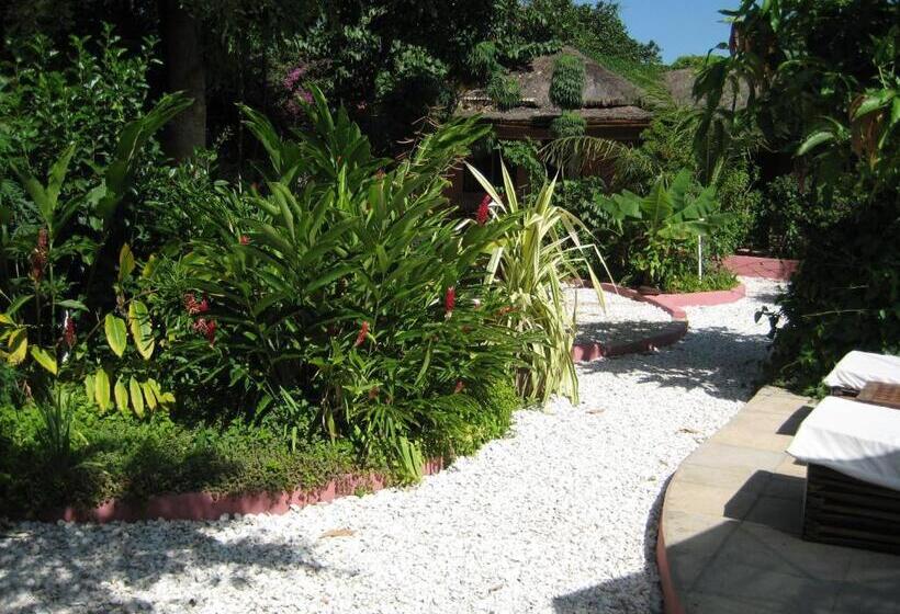 هتل Hibiscus House Gambia