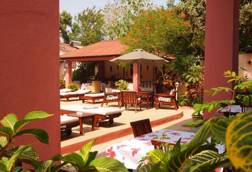 هتل Hibiscus House Gambia