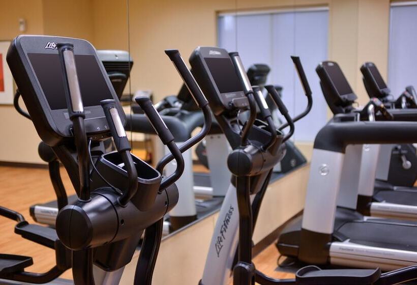 فندق Hyatt Place Garden City