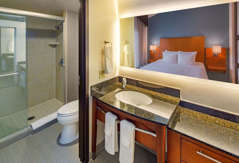 Отель Hyatt Place Madison/downtown