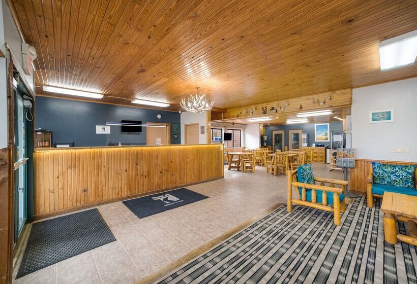 فندق Knights Inn New Florence