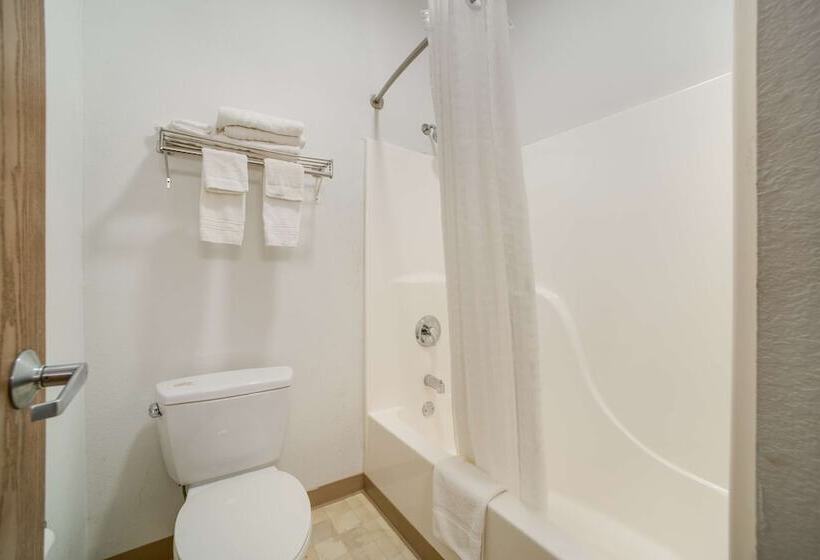 酒店 Knights Inn New Florence