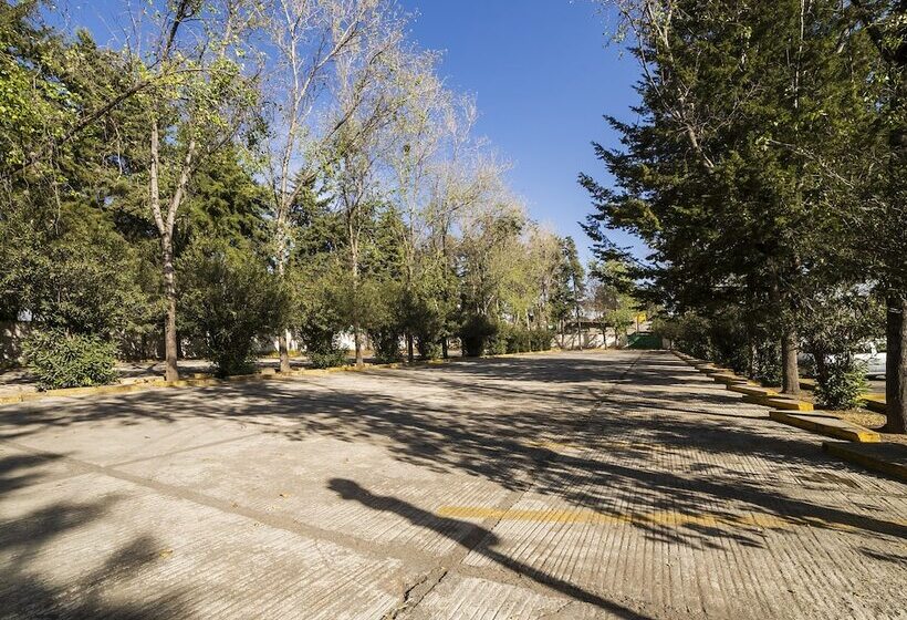 فندق La Mansión Del Quijote