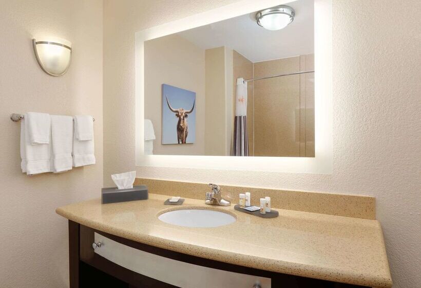 호텔 La Quinta By Wyndham Big Spring