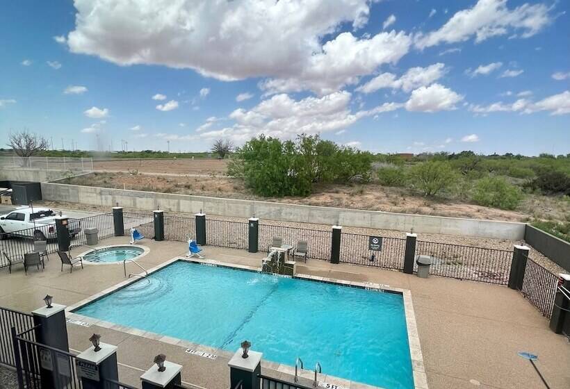 فندق La Quinta By Wyndham Big Spring