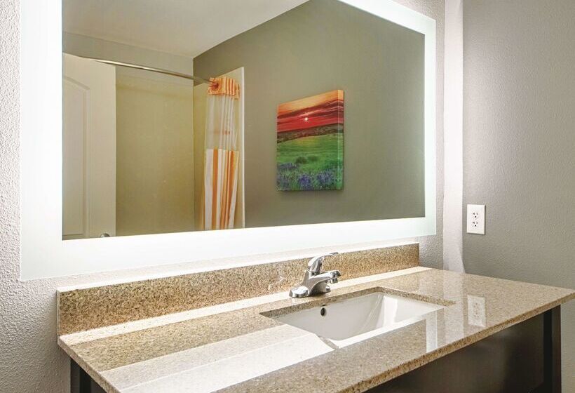 בית מלון כפרי La Quinta By Wyndham Mckinney