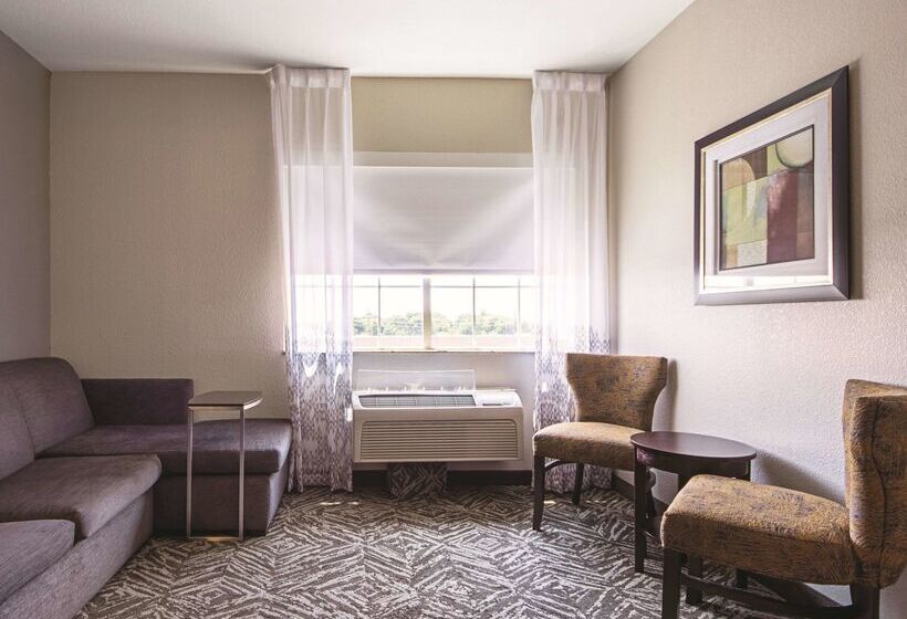 בית מלון כפרי La Quinta By Wyndham Mckinney