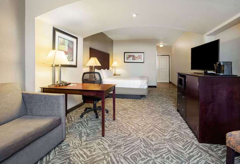 בית מלון כפרי La Quinta By Wyndham Mckinney