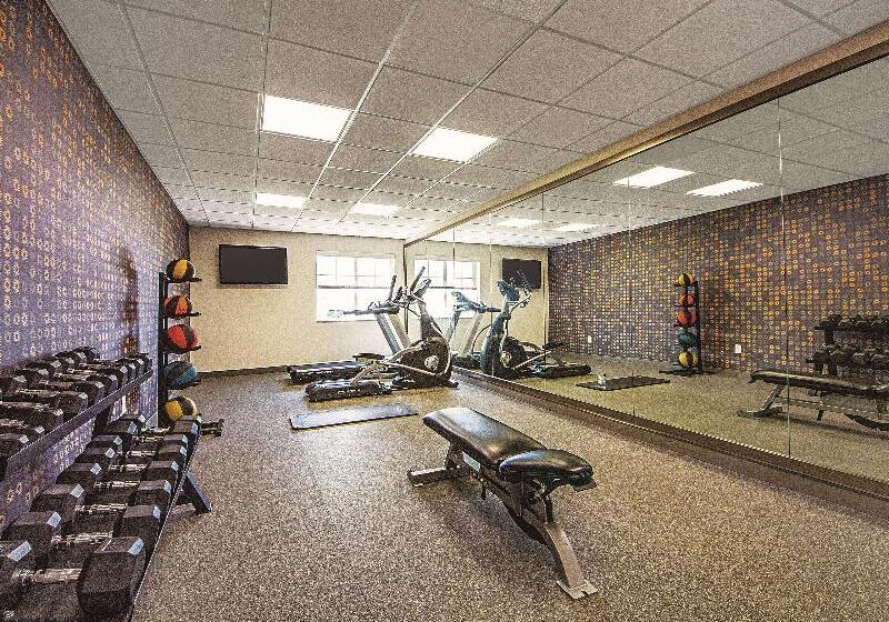 בית מלון כפרי La Quinta By Wyndham Mckinney