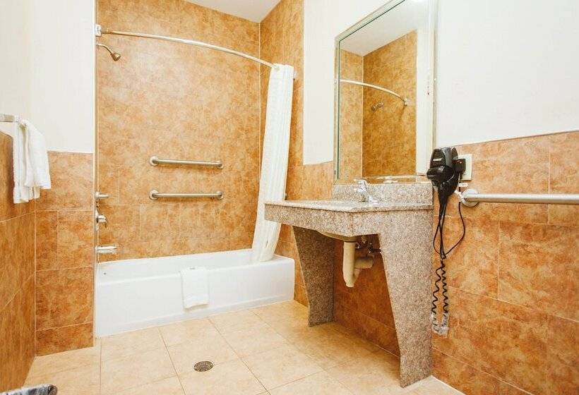 בית מלון כפרי Palace Inn   Baytown I 10