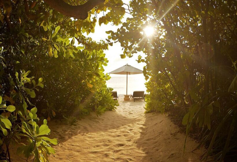 בית מלון כפרי Park Hyatt Maldives Hadahaa