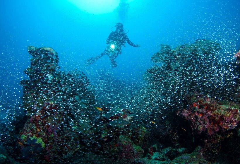 בית מלון כפרי Park Hyatt Maldives Hadahaa