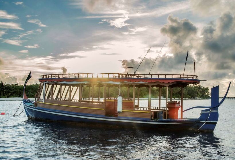 בית מלון כפרי Park Hyatt Maldives Hadahaa