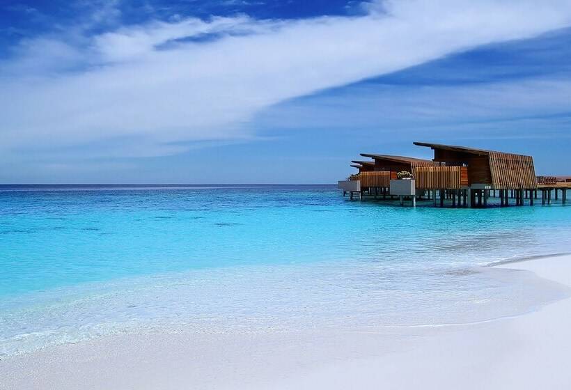 בית מלון כפרי Park Hyatt Maldives Hadahaa