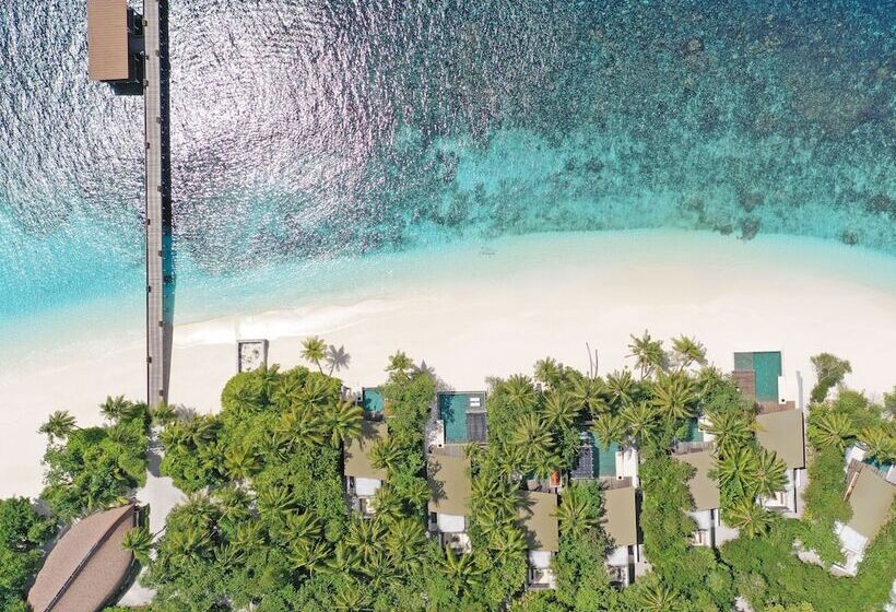 בית מלון כפרי Park Hyatt Maldives Hadahaa