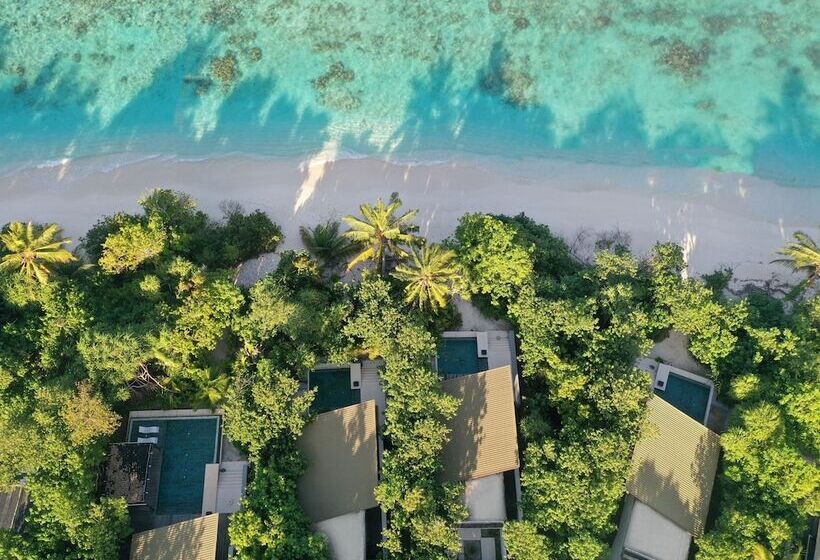 בית מלון כפרי Park Hyatt Maldives Hadahaa