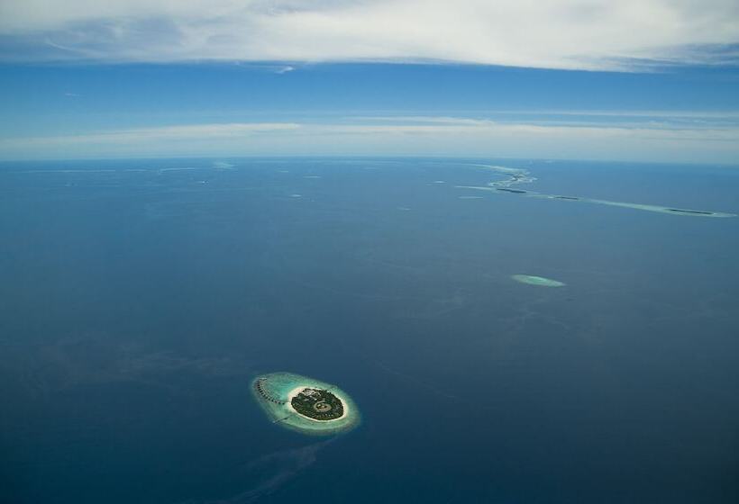 בית מלון כפרי Park Hyatt Maldives Hadahaa