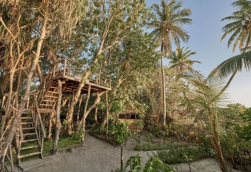 בית מלון כפרי Park Hyatt Maldives Hadahaa