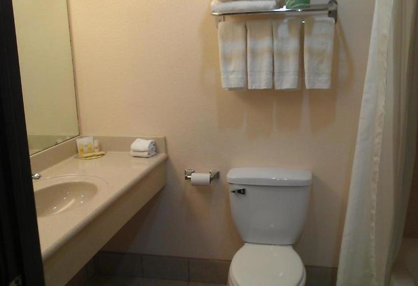 호텔 Robinson Inn And Suites