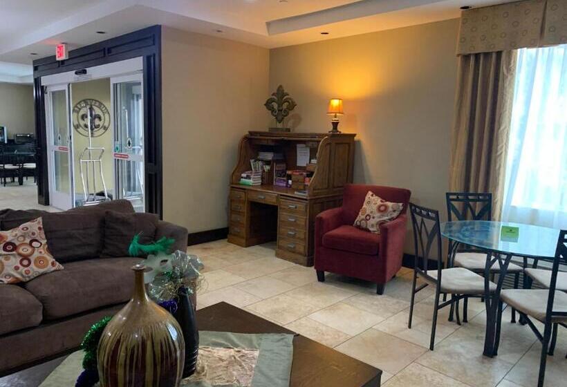 فندق Rodeway Inn & Suites