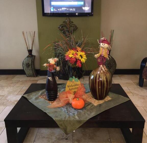 فندق Rodeway Inn & Suites