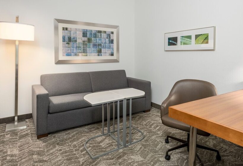 酒店 Springhill Suites By Marriott Lafayette South At River Ranch