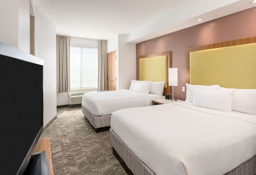 酒店 Springhill Suites By Marriott Lafayette South At River Ranch