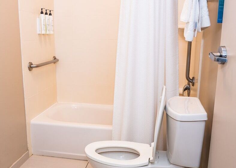 酒店 Springhill Suites By Marriott San Antonio Alamo Plaza/convention Center