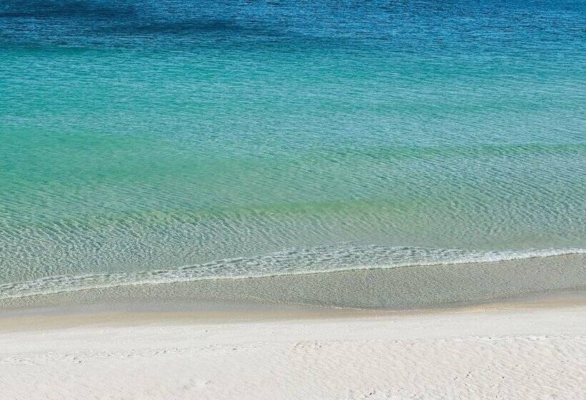 فندق Studios At Fontainebleau Terrace