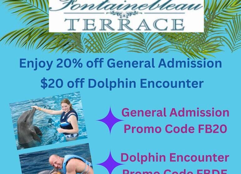 فندق Studios At Fontainebleau Terrace