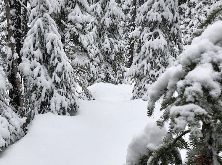 فندق The Lodge At Lolo Hot Springs