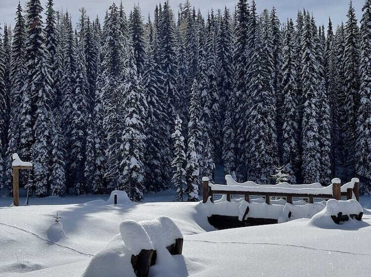 فندق The Lodge At Lolo Hot Springs