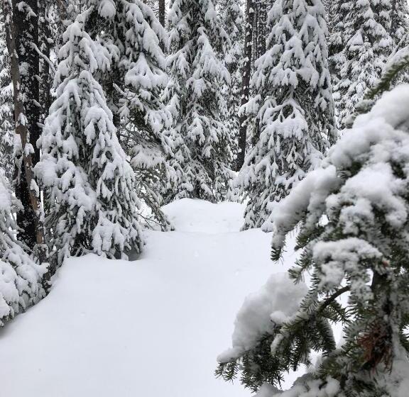 فندق The Lodge At Lolo Hot Springs
