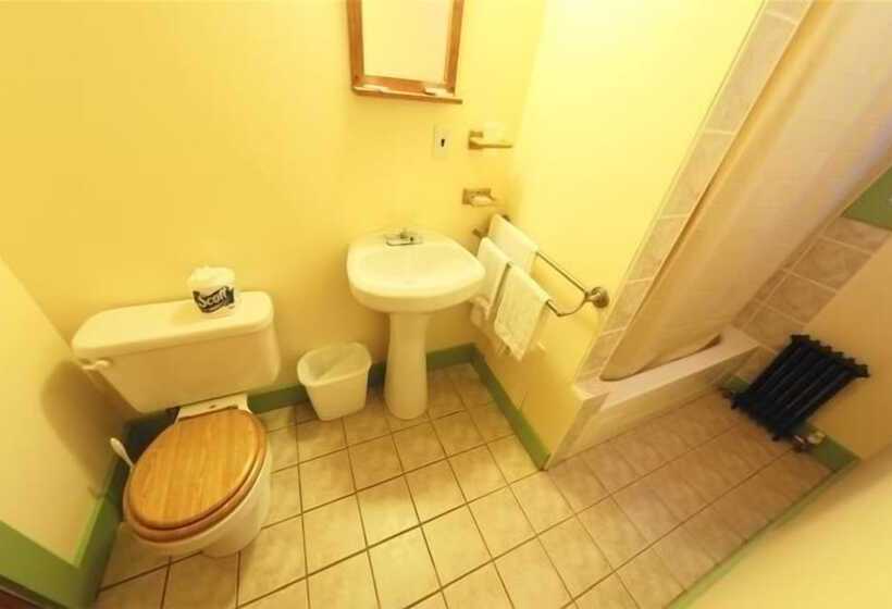 هتل The Riverside Inn