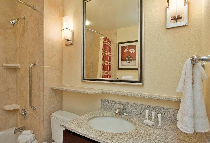 ホテル Towneplace Suites By Marriott Midland