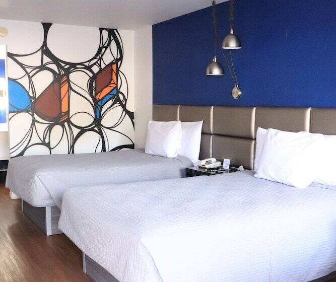 בית מלון כפרי University Inn