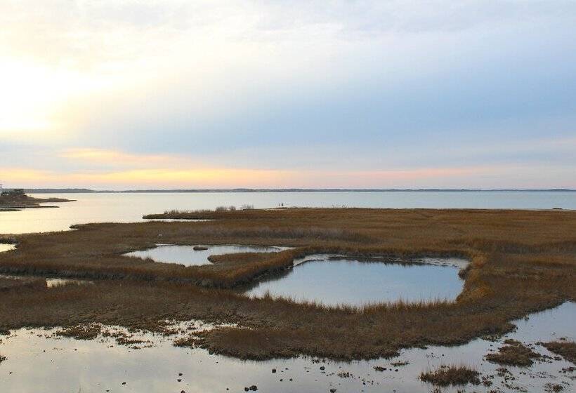 Lucayan Resort By Kees Vacations