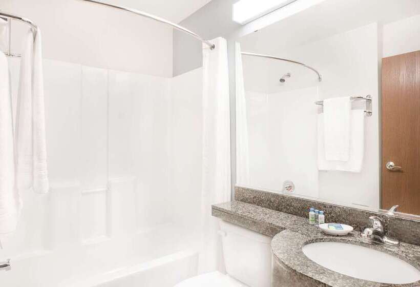 Microtel Inn And Suites San Angelo