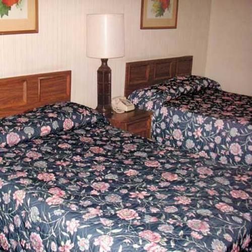 汽车旅馆  Sunset Inn Flatonia By Magnuson Worldwide