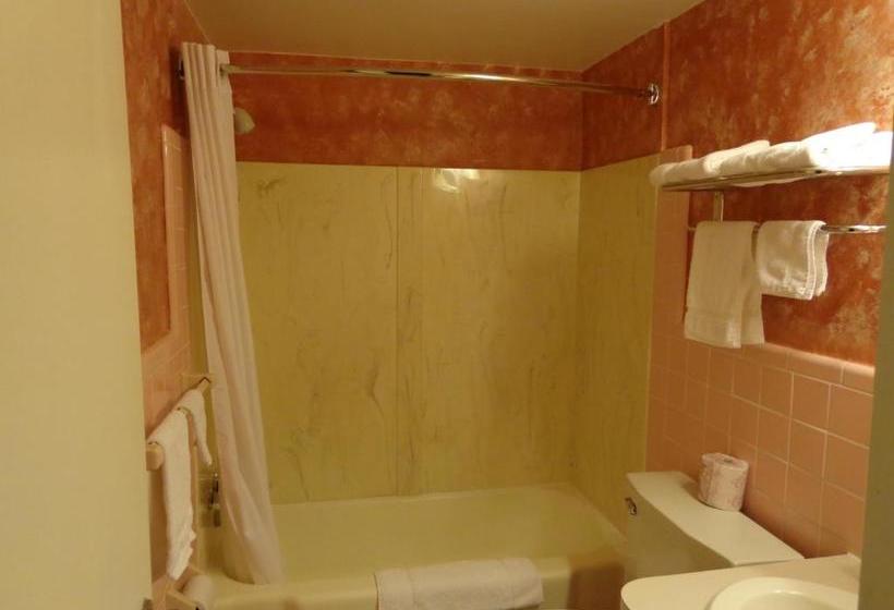 Spartan Motel - Rochester