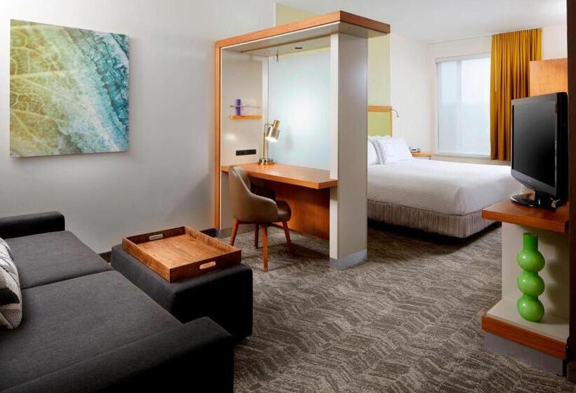 Springhill Suites By Marriott Pittsburgh Bakery Square