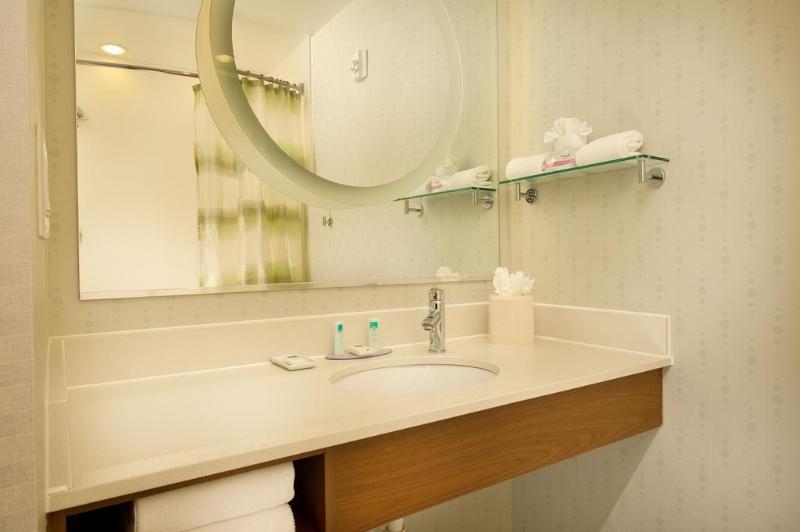 Springhill Suites By Marriott San Antonio Seaworld®/lackland