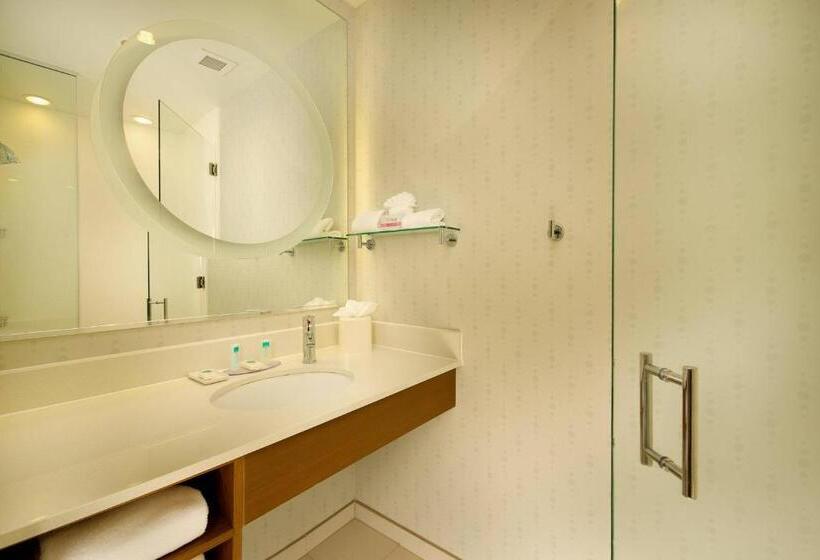 Springhill Suites By Marriott San Antonio Seaworld®/lackland