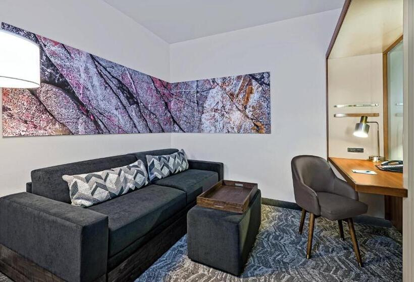 Springhill Suites By Marriott San Antonio Seaworld®/lackland