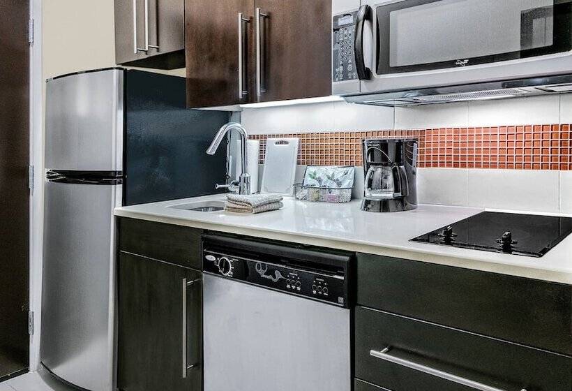 Towneplace Suites By Marriott San Antonio Downtown Riverwalk