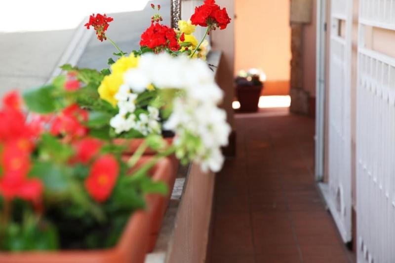 Bed and Breakfast Vaticano84